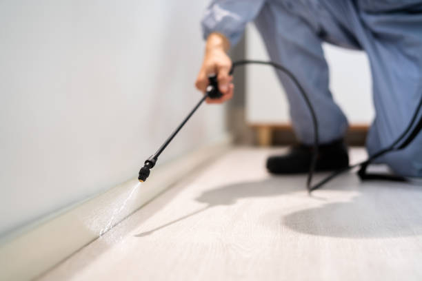Licensed Pest Control service in Clinton, MD - Show Me Pest Control